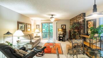 Smart TV, fireplace, books