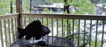 Lake view two bedroom, two bath log-sided cottage with private hot tub overlooking Lake Ouachita. by RedAwning
