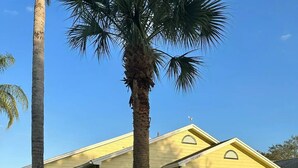 A single-story yellow house with a garage, surrounded by a well-maintained lawn and palm trees. - Home in Kissimmee (Kissimmee)