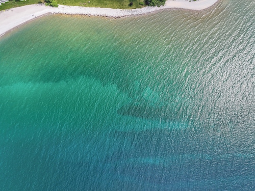 Downtown Apartment! Large, Cozy, Family friendly private oasis in city center!