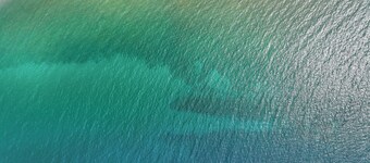 Downtown Apartment! Large, Cozy, Family friendly private oasis in city center!