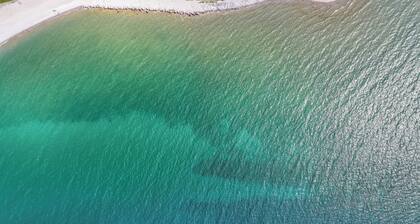 Downtown Apartment! Large, Cozy, Family friendly private oasis in city center!