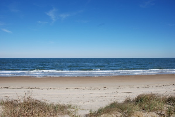 A beach with clear skies and calm waves.