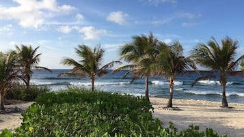 On the beach, sun-loungers, beach towels