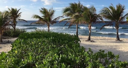 Sonscape's Cozy 1-Bdr 1-Bath Private Guest Suite Opens Right Onto the Beach!