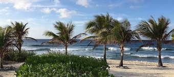 Sonscape's Cozy 1-Bdr 1-Bath Private Guest Suite Opens Right Onto the Beach!