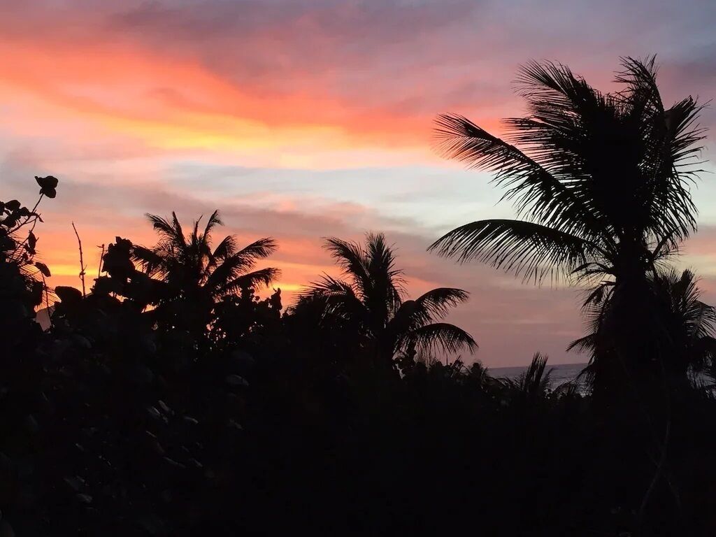 A sunset with silhouettes of palm trees against a colorful sky.