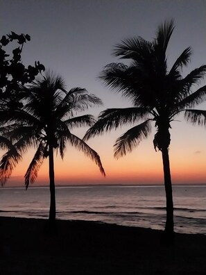 Sun-loungers, beach towels