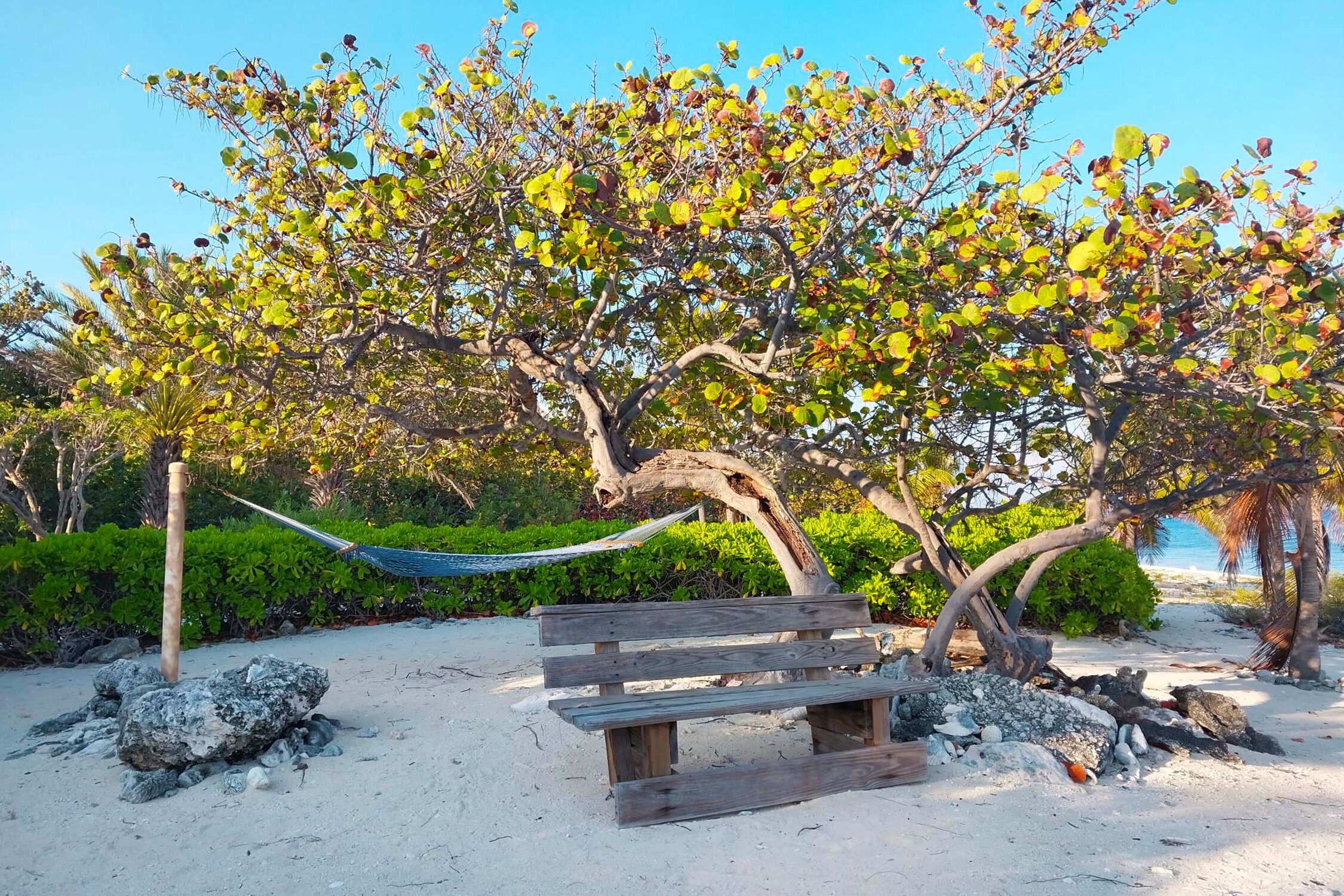 Un banco de madera bajo un árbol con una hamaca, rodeado de rocas y arena.