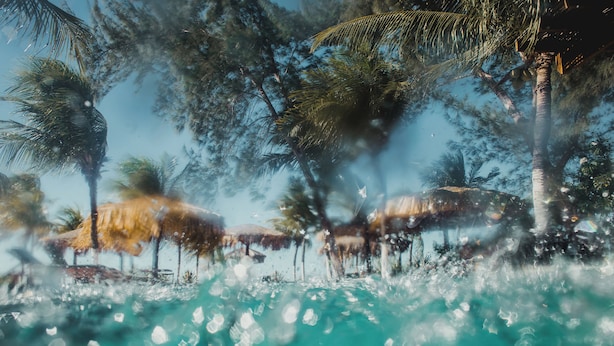 Un complexe hôtelier tropical avec des palmiers et des huttes aux toits de chaume.