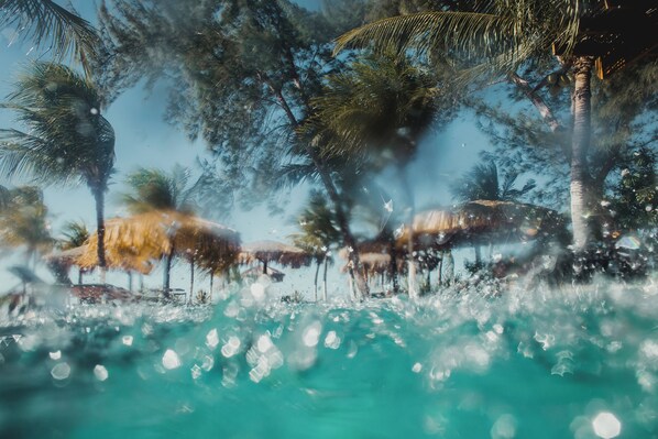 Piscine extérieure, cabanas gratuites, parasols