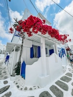 Um edifício branco com detalhes azuis e uma árvore florida vermelha em frente.