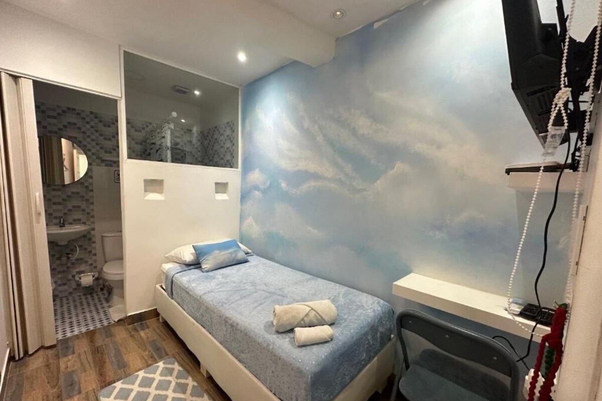 Habitación individual básica, 1 cama individual, baño privado, planta baja | Escritorio, wifi gratis, ropa de cama