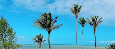 Apartment | Beach