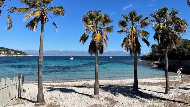 Une plage bordée de palmiers, avec une eau d’un bleu limpide et des bateaux.