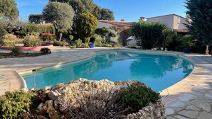 Une piscine entourée de carreaux de pierre, avec un mur de pierre et de la verdure au premier plan.