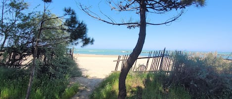 Strand