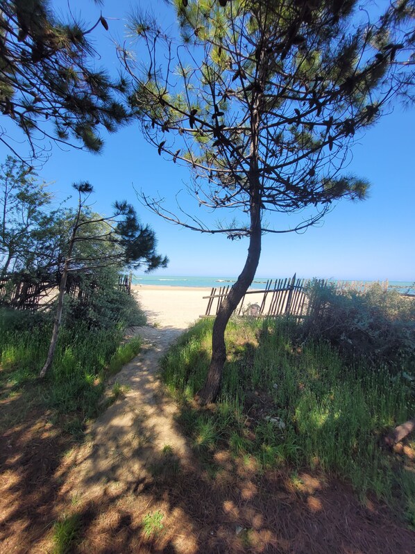 Strand