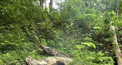 Waterfront Location. Panoramic Views. Cozy Comforts. Treehouse Tranquility.