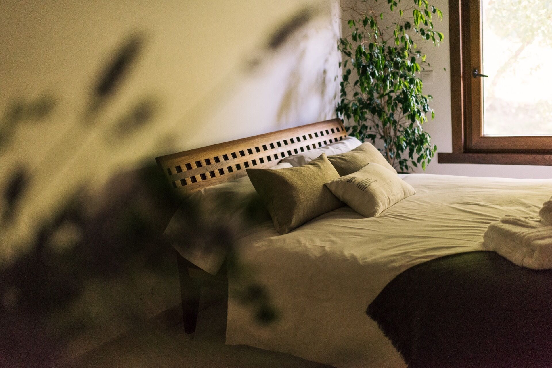 A neatly made bed with a wooden headboard, a potted plant beside it, and a window with natural light.