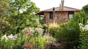 A stone house with a tiled roof, surrounded by lush greenery and flowering plants.