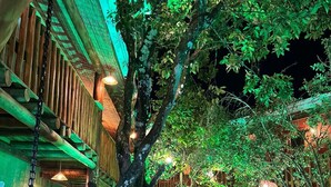 Een gebouw met een houten gevel en een tuin verlicht met groen licht.