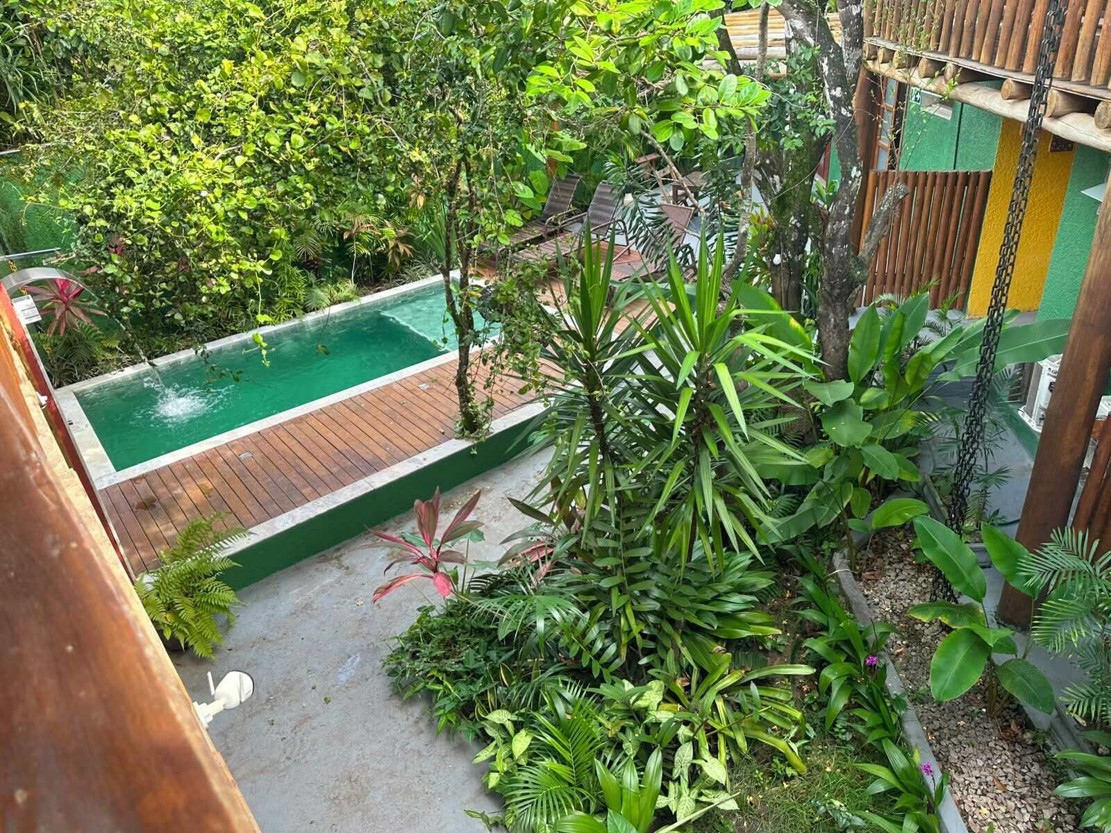 Une piscine entourée d’une végétation luxuriante, d’une terrasse en bois et d’une variété de plantes tropicales.