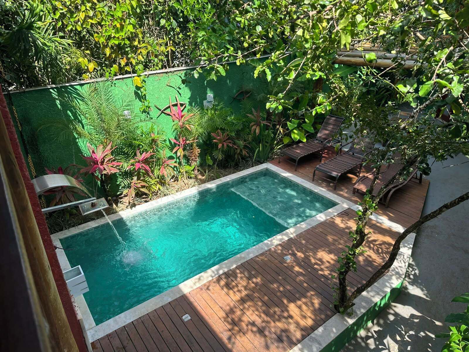 Une piscine rectangulaire entourée d’une terrasse en bois, elle-même bordée d’une végétation luxuriante et d’un mur végétal.