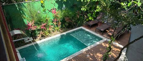 Une piscine rectangulaire entourée d’une terrasse en bois, elle-même bordée d’une végétation luxuriante et d’un mur végétal.