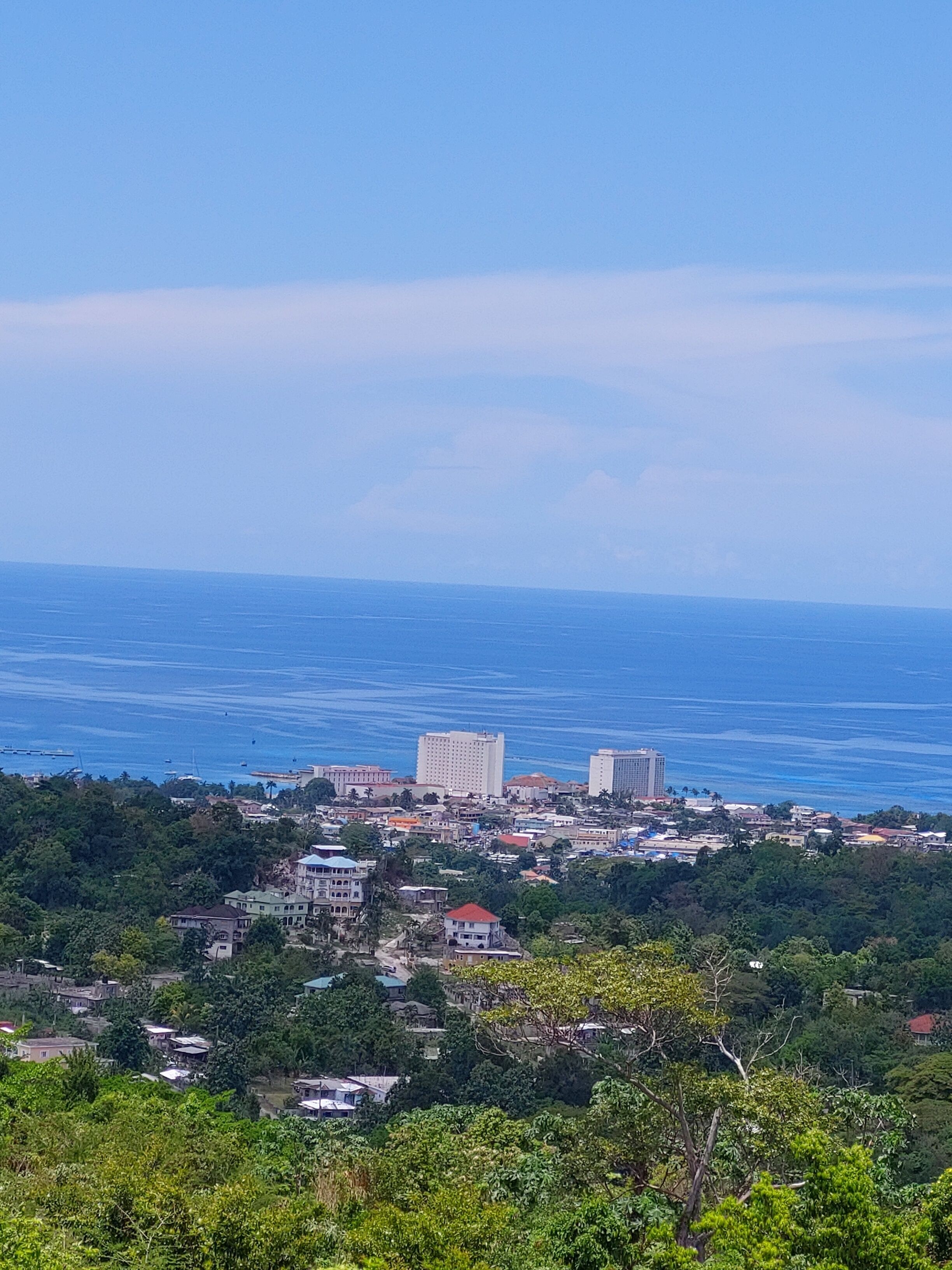A coastal cityscape with dense greenery in the foreground, a clear blue sky, and buildings along the coastline.