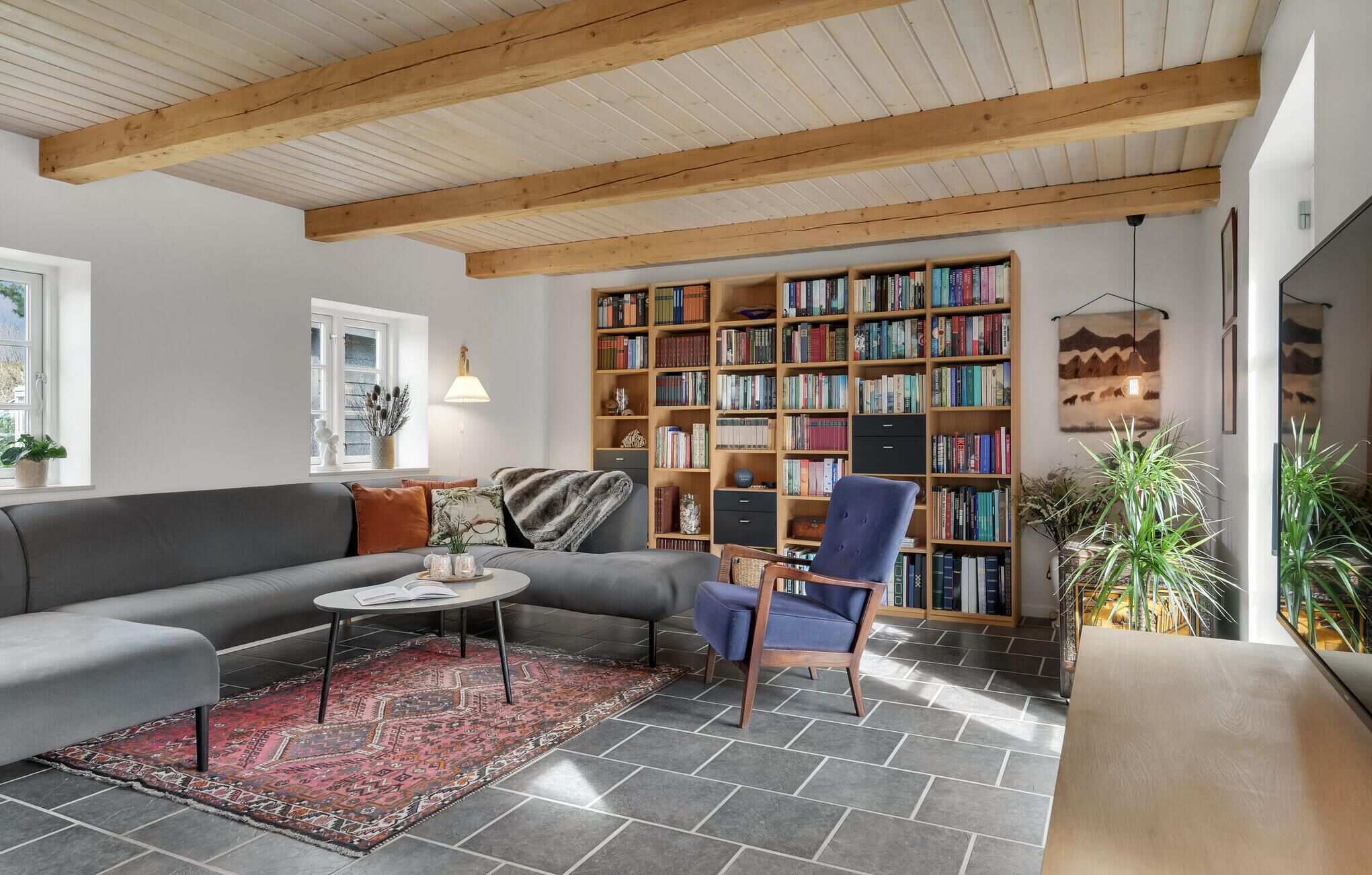 Smart-tv, pejs, dvd-afspiller