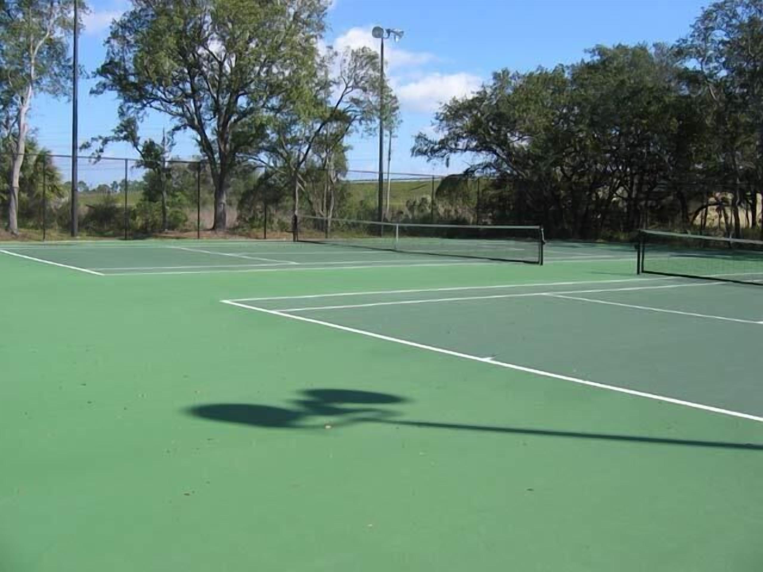 Campionat de tennis amb xarxa, envoltat d'arbres i cel blau.