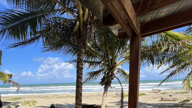 A wooden deck leading to a beach with palm trees and a clear view of the ocean. - Beautiful Beach Condo on the sand (Cabarete)