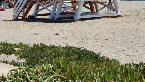 Una torre de salvavidas en una playa arenosa con un cielo azul despejado.