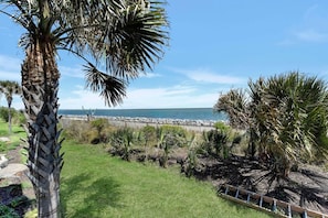 A coastal landscape with a palm tree, a grassy area, and a rocky shoreline.