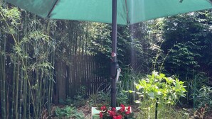 A round table with a green umbrella, surrounded by green chairs, in a garden with bamboo and other plants.