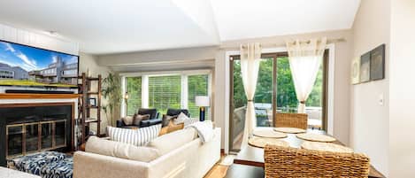 Smart TV, fireplace, books