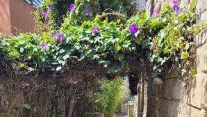 Un étroit sentier de pierre bordé de murs, avec une arche couverte de lierre et des fleurs violettes.