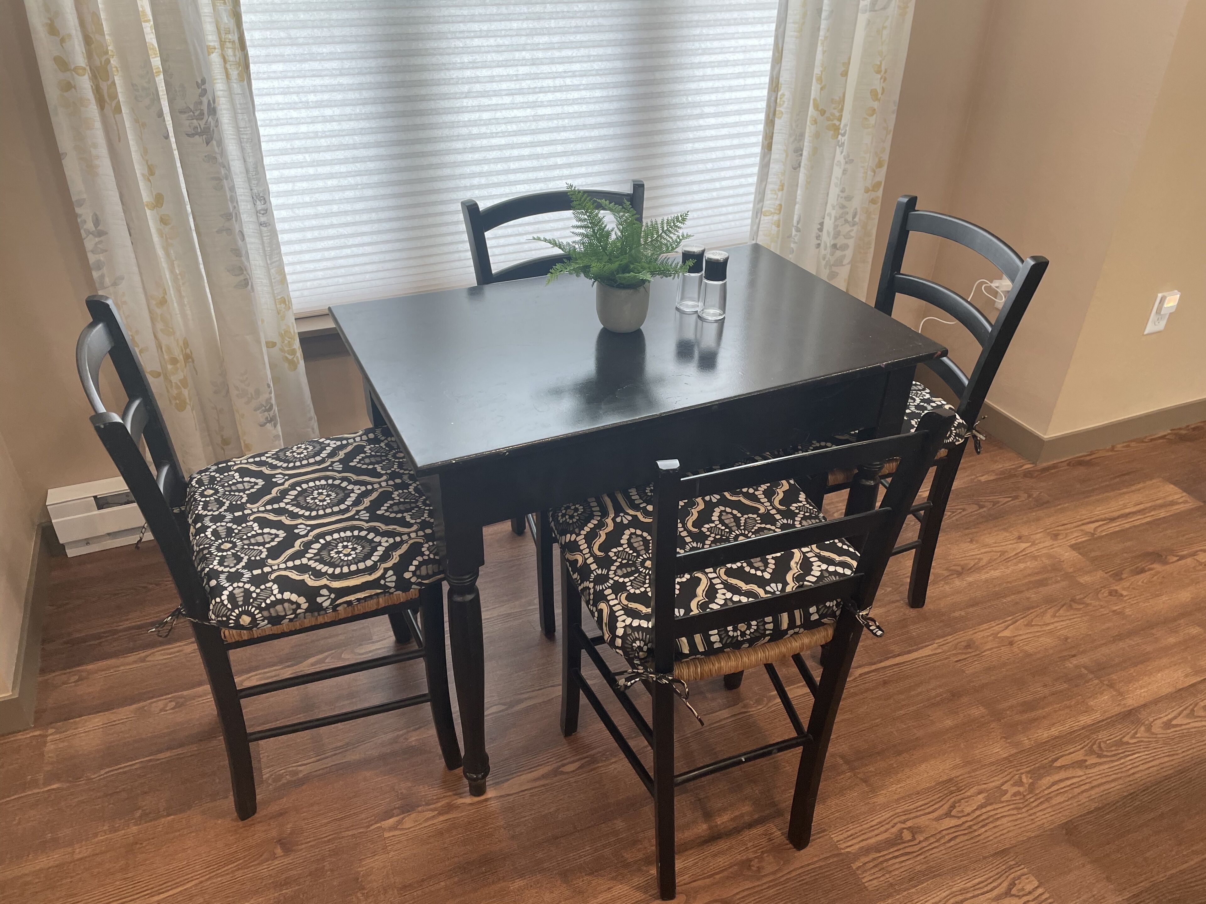 A dining table with four chairs, a potted plant, and salt and pepper shakers.