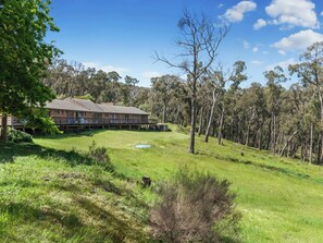 Guests can enjoy a tranquil outdoor space on the balcony overlooking lush green surroundings.