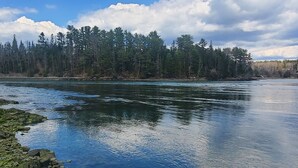 Une rivière aux rives rocheuses, avec une forêt en arrière-plan.