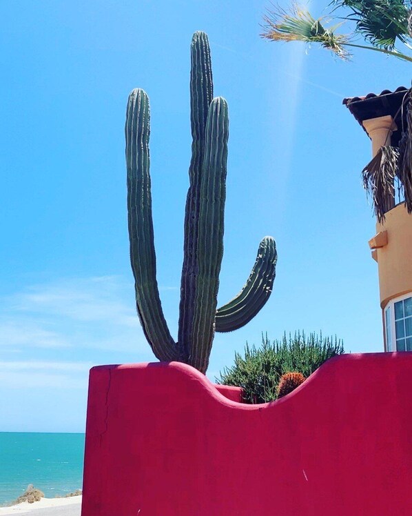 Property grounds - Beachfront Villa @ the Sea of Cortez. Where the Desert 🌵 meets the Sea 🌊 (San Felipe)