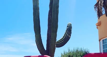Beachfront Villa @ the Sea of Cortez. Where the Desert 🌵 meets the Sea 🌊