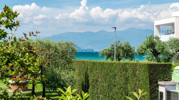A view of a coastal landscape with mountains in the background, a clear sky, and a hedge in the foreground.