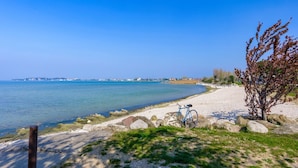 A coastal landscape with a clear sky, a sandy beach, and a bicycle parked near a tree.