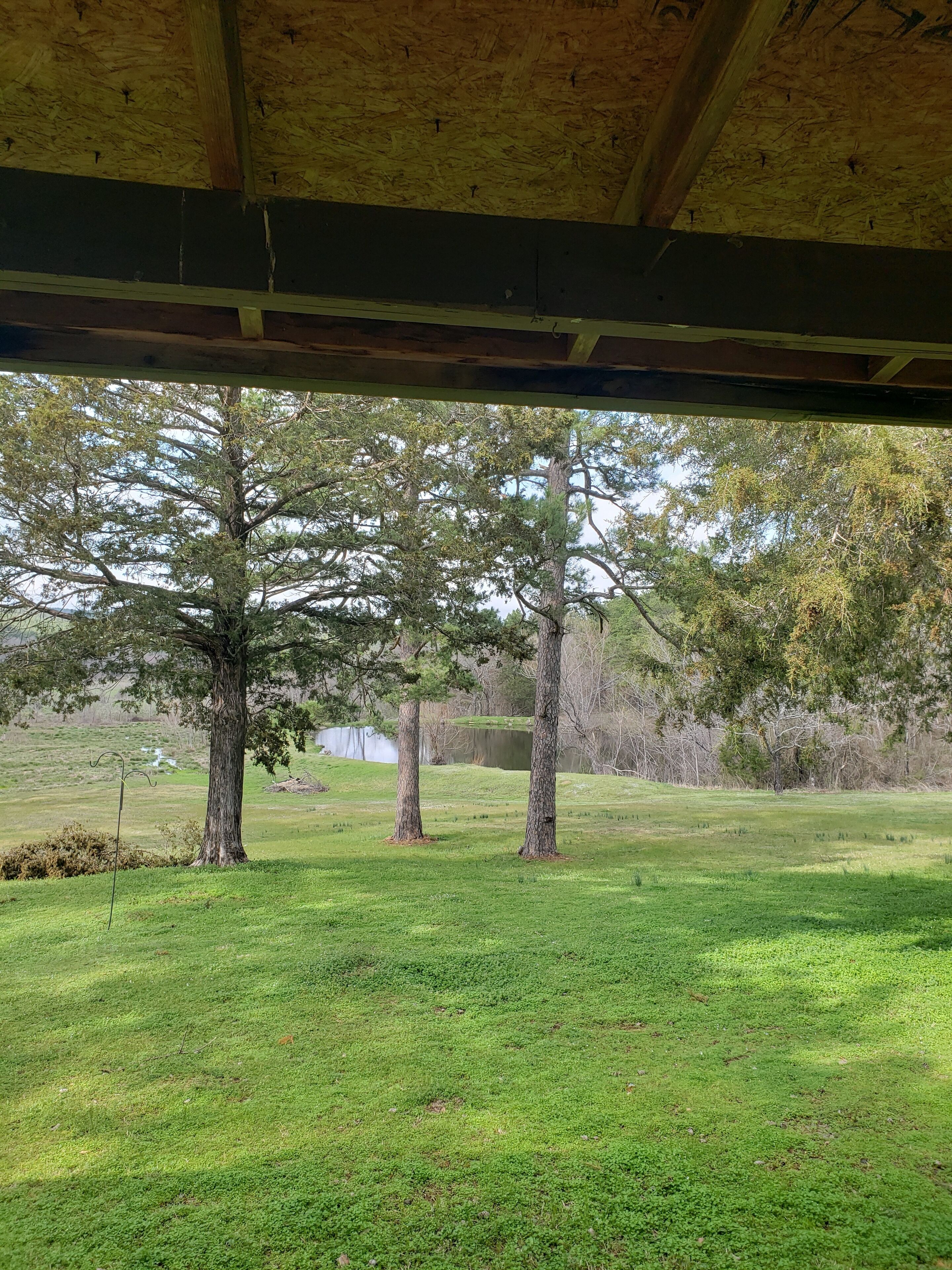 Private cabin in the national forest on 5 acres