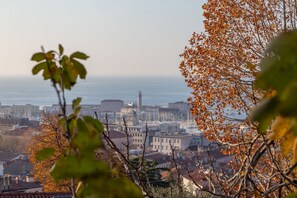 Unclassified image, 2 of 26, button - Casetta PesceBlu, a stay with a unique style (Trieste)