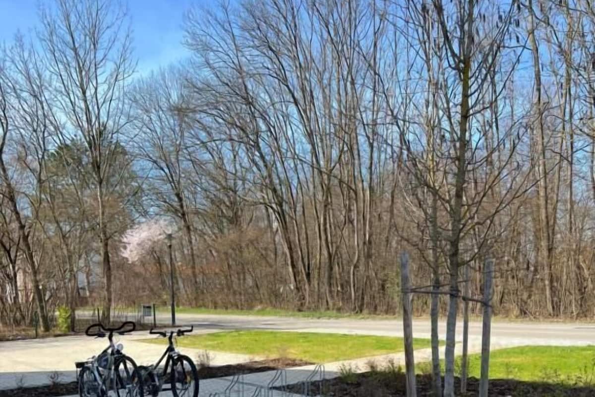 Classic fyrbäddsrum - utsikt mot innergården | Boendeområde