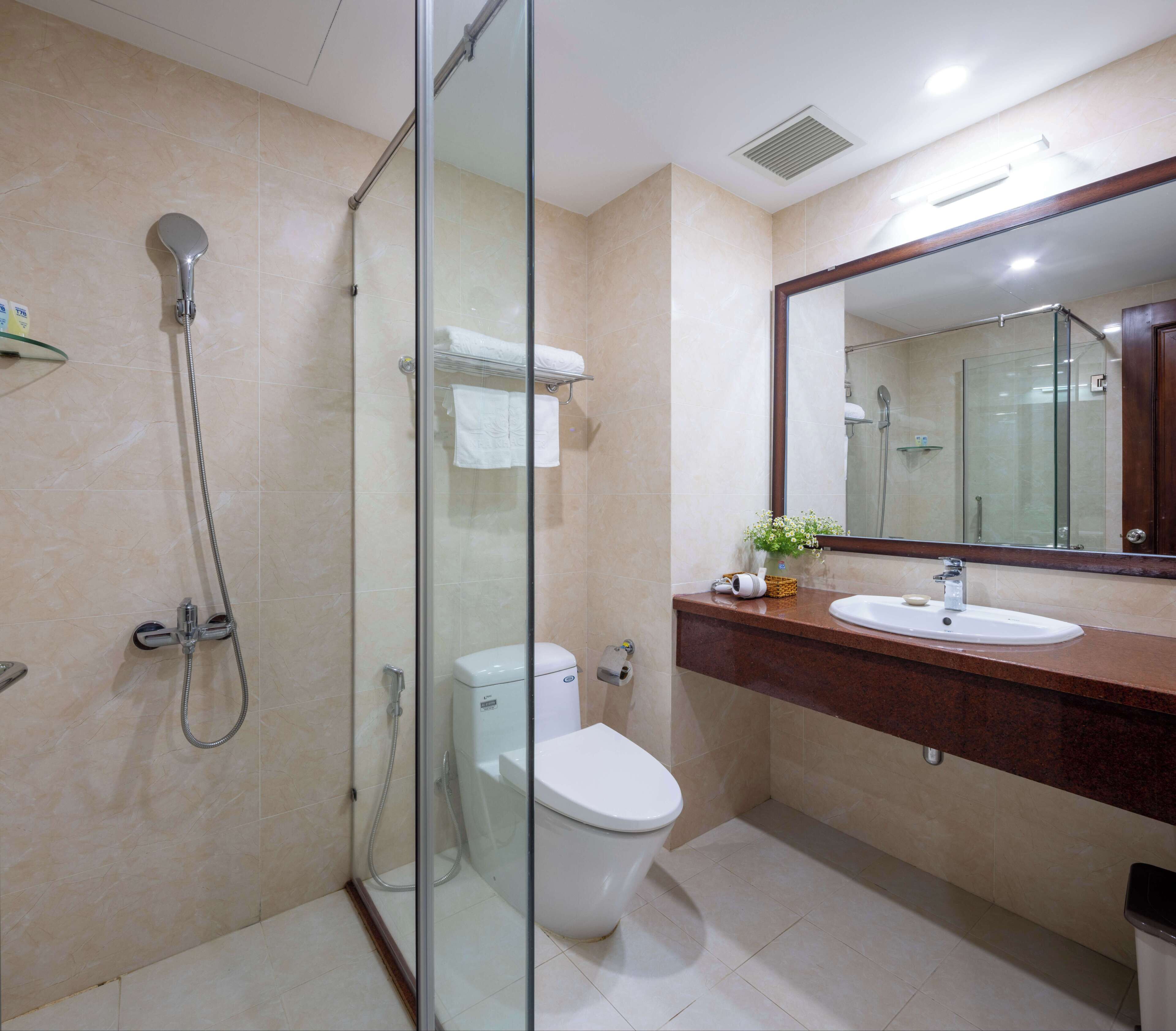 A modern bathroom with a glass-enclosed shower, a toilet, a sink with a mirror, and a small plant on the counter.