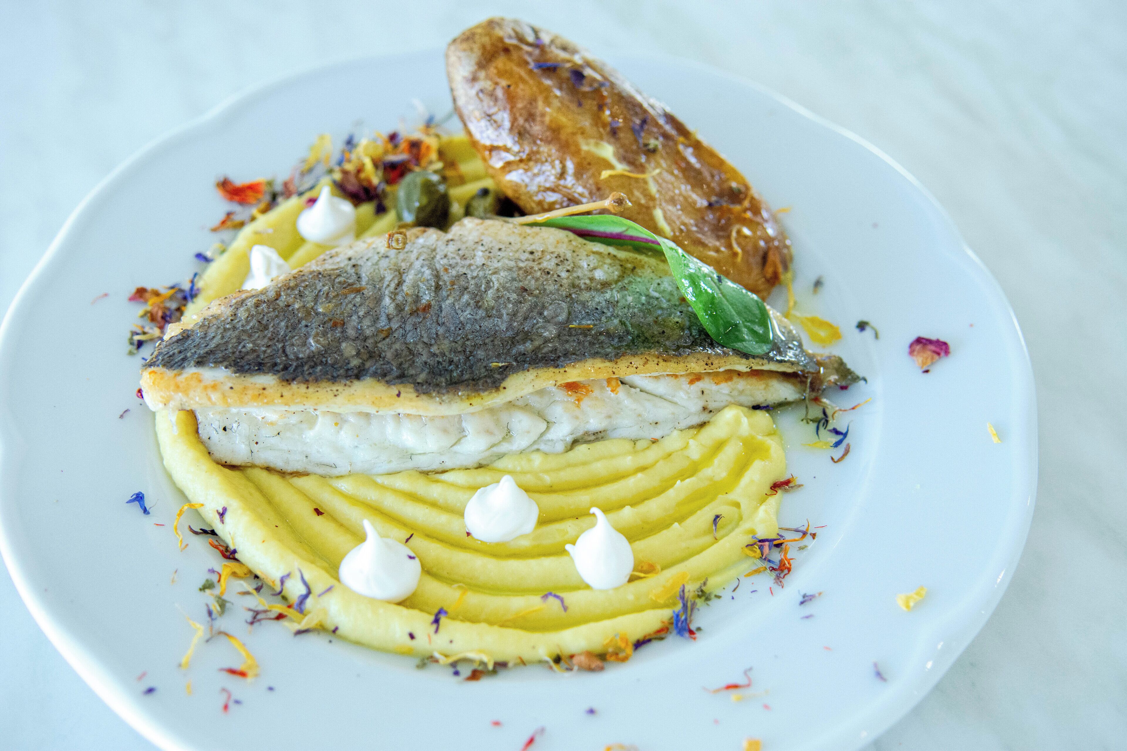 En tallrik med en fiskfilé, potatismos och en garnering.